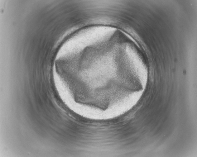 X0000085310434200704092327
