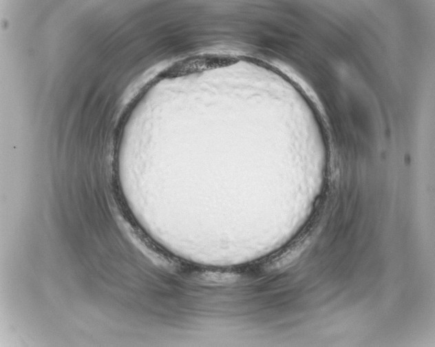 X0000085310437200704092327