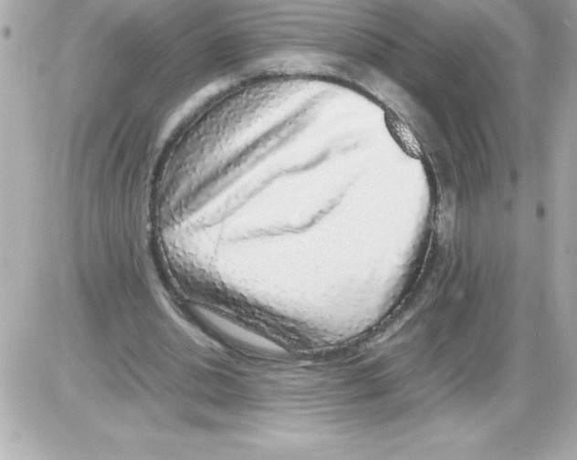 X0000085310438200704092327