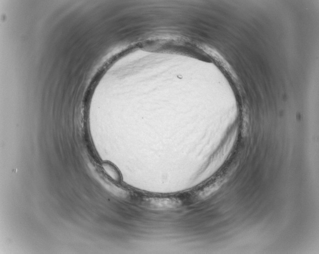 X0000085310439200704092327