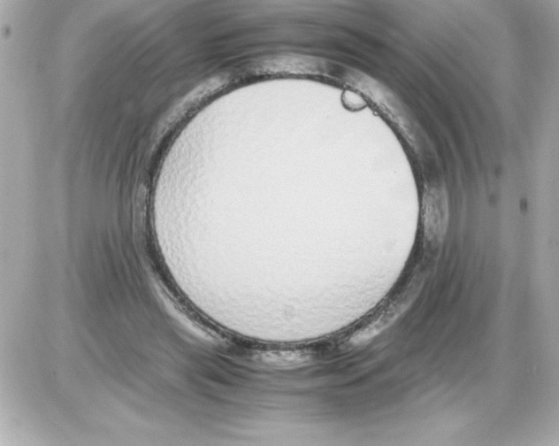X0000085310445200704092327