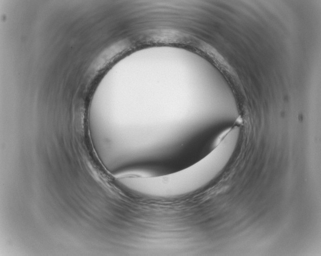 X0000085310446200704092327