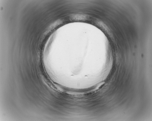 X0000085310447200704092327