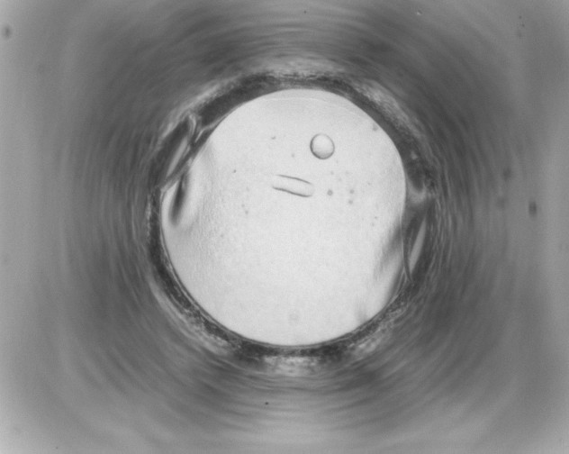 X0000085310448200704092327
