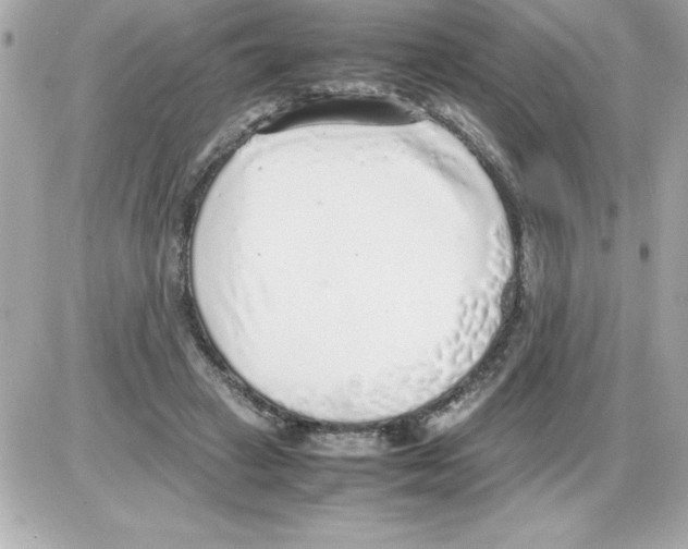 X0000085310449200704092327