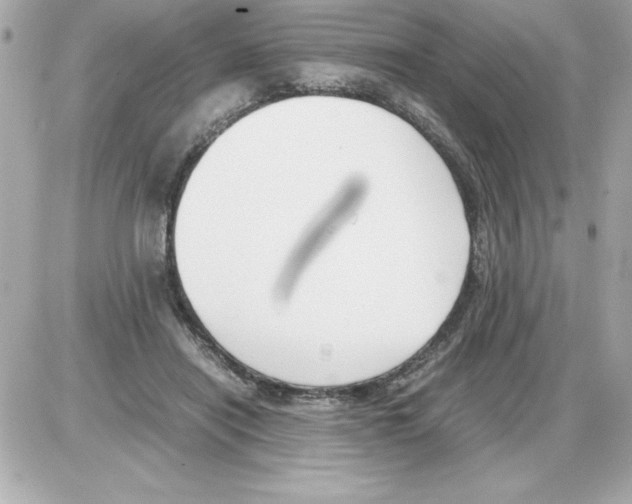 X0000085310454200704092327