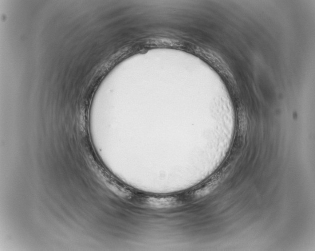 X0000085310457200704092327