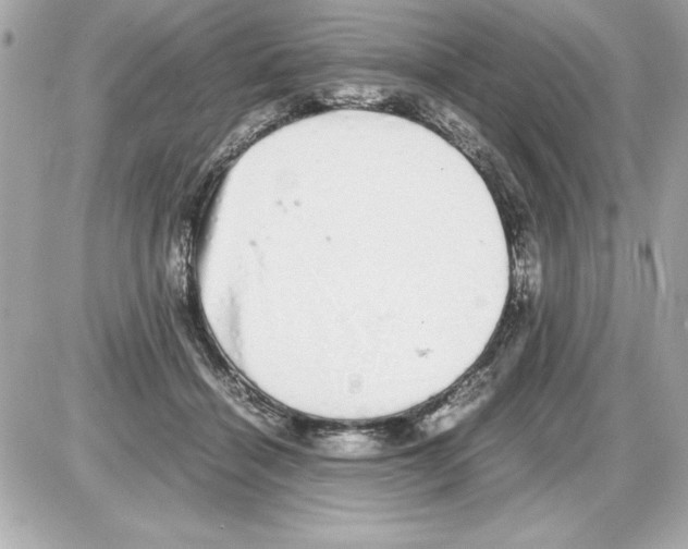 X0000085310460200704092327