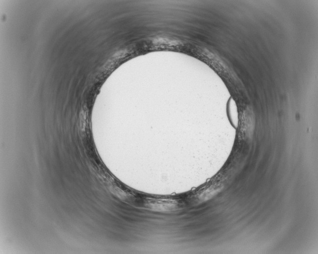X0000085310463200704092327