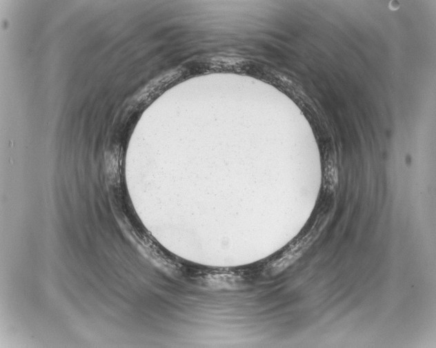 X0000085310468200704092328