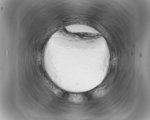 X0000085310469200704092328