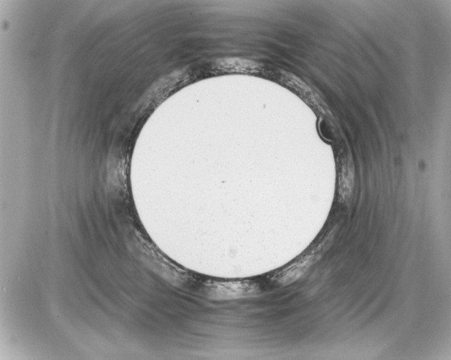 X0000085310473200704092328