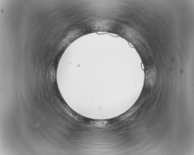 X0000085310474200704092328