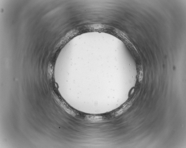 X0000085310476200704092328