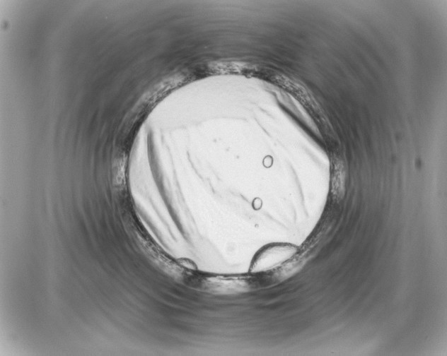 X0000085310477200704092328