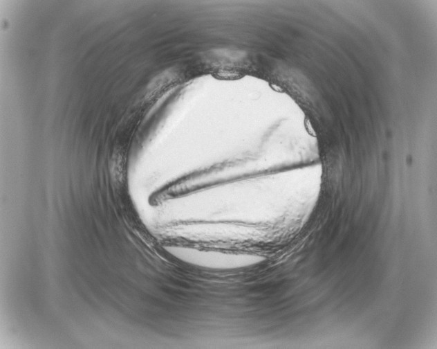 X0000085310479200704092328