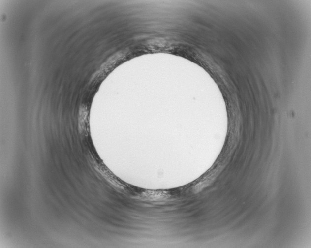 X0000085310480200704092328
