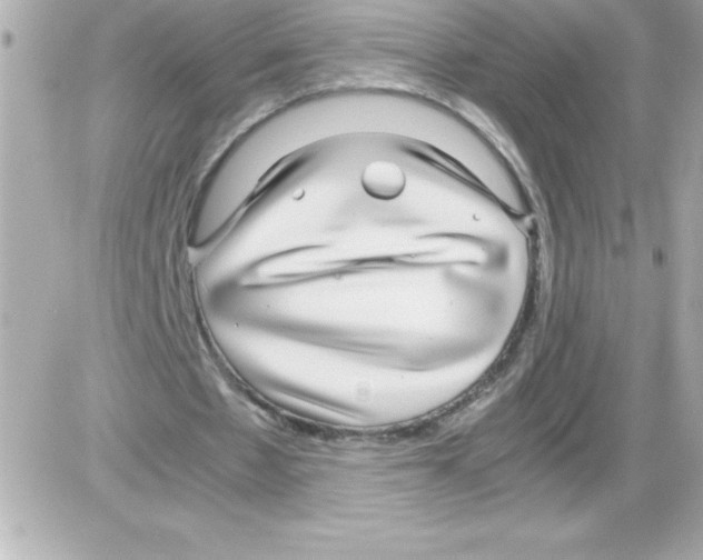 X0000085310481200704092327