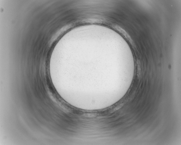 X0000085310482200704092327