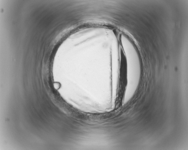 X0000085310487200704092327