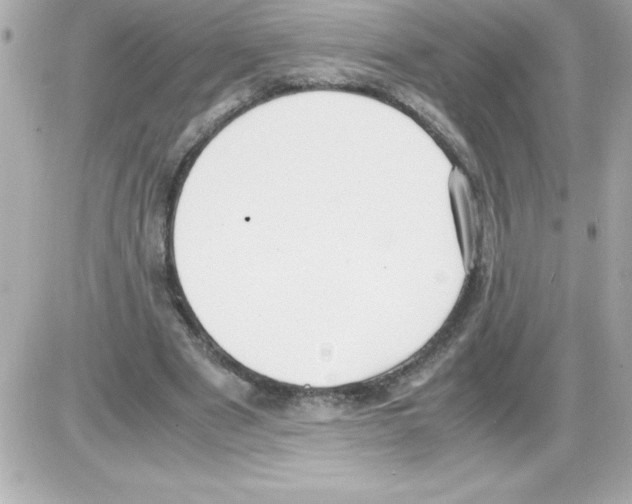 X0000085310489200704092327