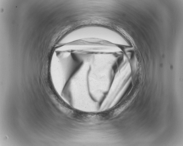 X0000085310493200704092327