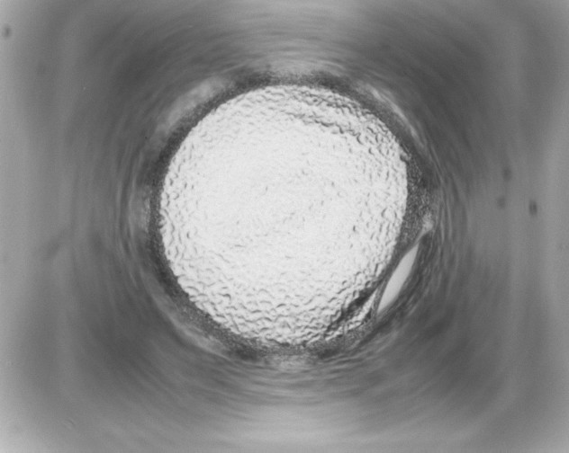 X0000085310495200704092327