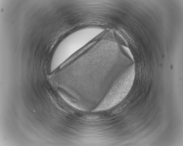 X0000085310500200704092327