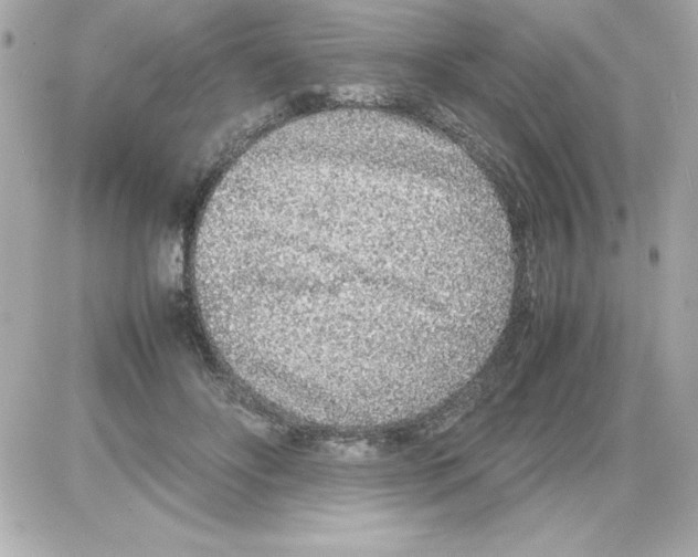X0000085310502200704092327
