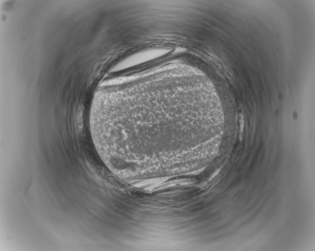 X0000085310504200704092327