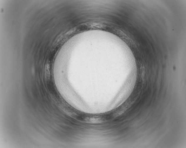 X0000085310506200704092327