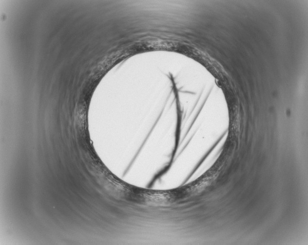 X0000085310513200704092326
