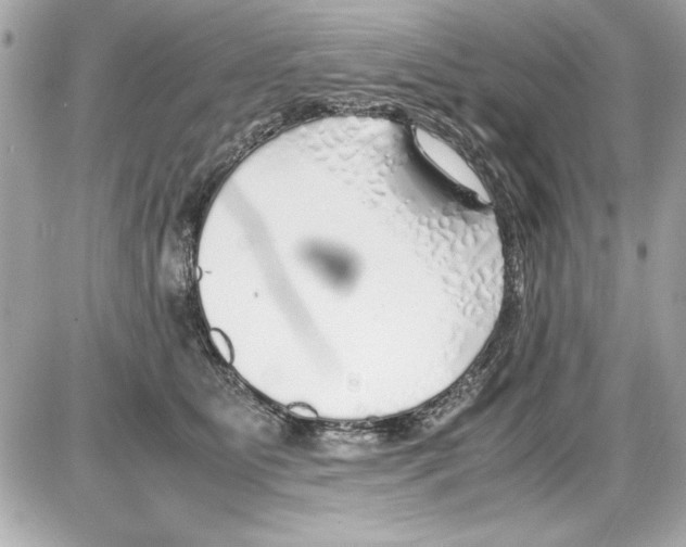X0000085310515200704092326