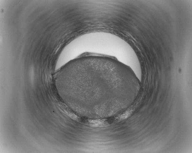 X0000085310516200704092326