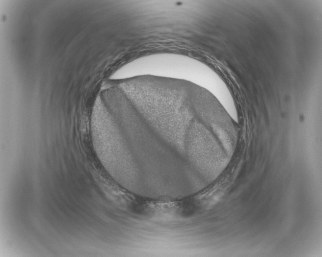 X0000085310517200704092326