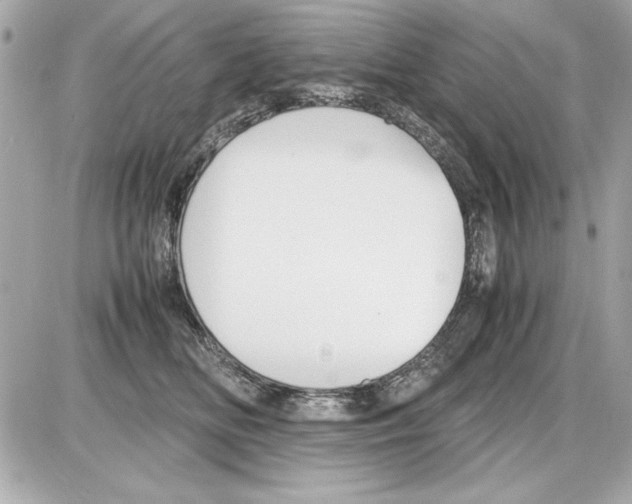 X0000085310518200704092326