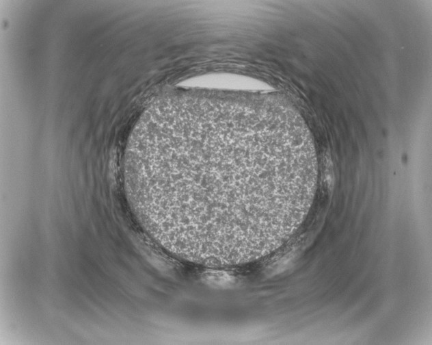 X0000085310519200704092326