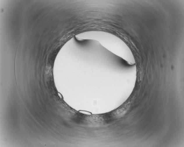 X0000085310521200704092326