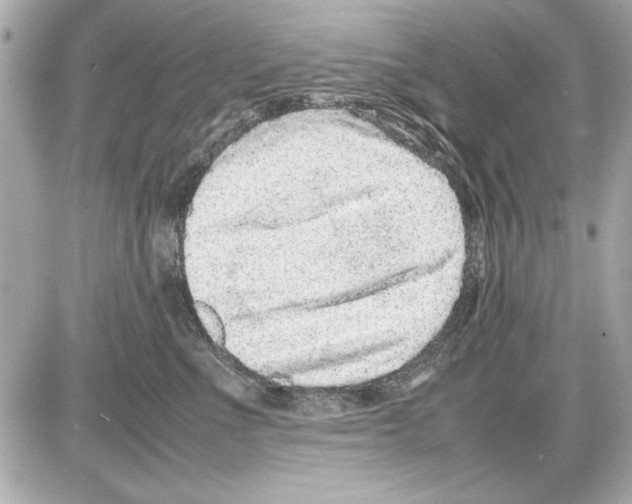 X0000085310523200704092326