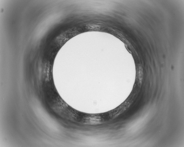 X0000085310525200704092326