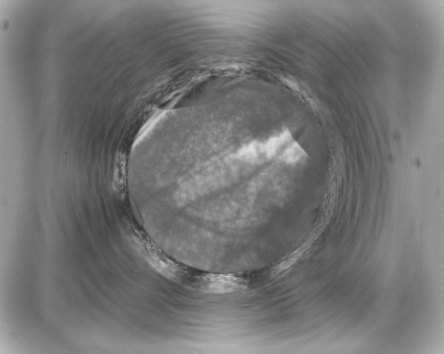 X0000085310528200704092326