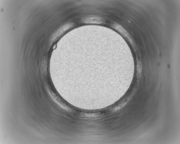 X0000085310533200704092325