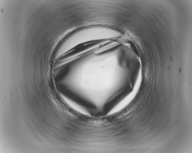 X0000085310540200704092326