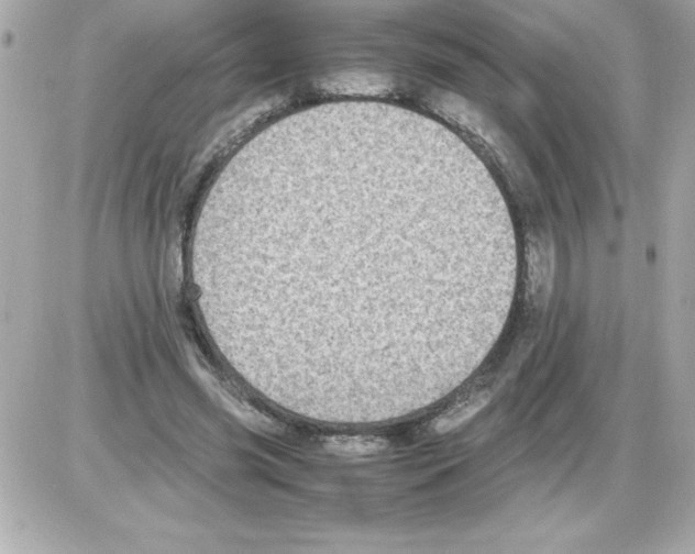 X0000085310541200704092326