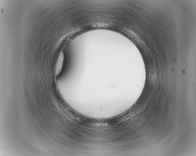 X0000085310543200704092326