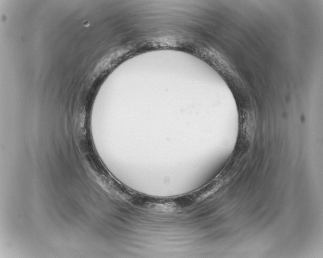 X0000085310548200704092326