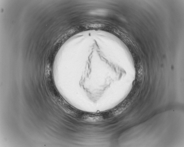 X0000085310555200704092326