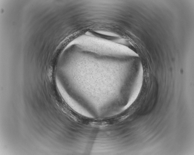 X0000085310556200704092326