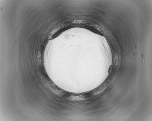 X0000085310557200704092326