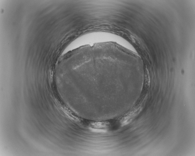 X0000085310558200704092326